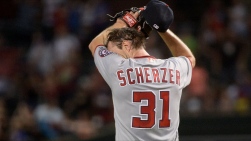 Scherzer2.jpg