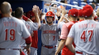 Eugenio Suarez