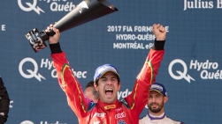 16555268.jpg