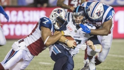 Alouettes.jpg