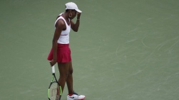 16728096.jpg