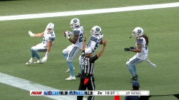 alouettes.jpg