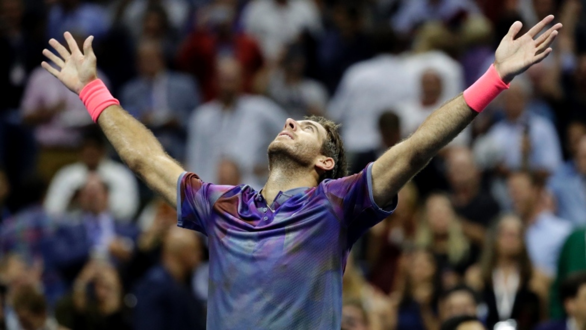 Juan Martin Del Potro