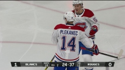 Plekanec14.jpg