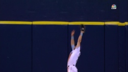 Kiermaier3.jpg