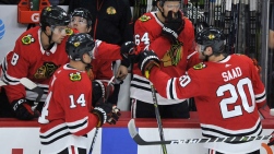 hawks.jpg