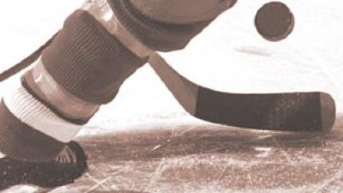 Logo hockey