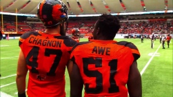CFL Sounds.jpg