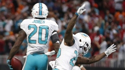 dolphins.jpg
