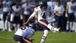 bears.jpg