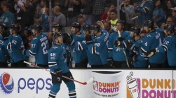 sharks.jpg