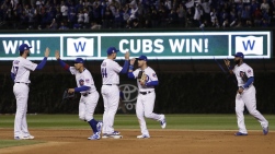 cubs.jpg