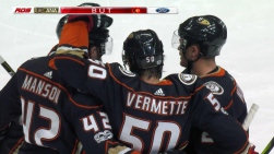 Vermette4.jpg