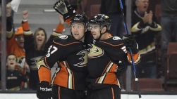 ducks.jpg