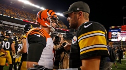 Steelers11.jpg