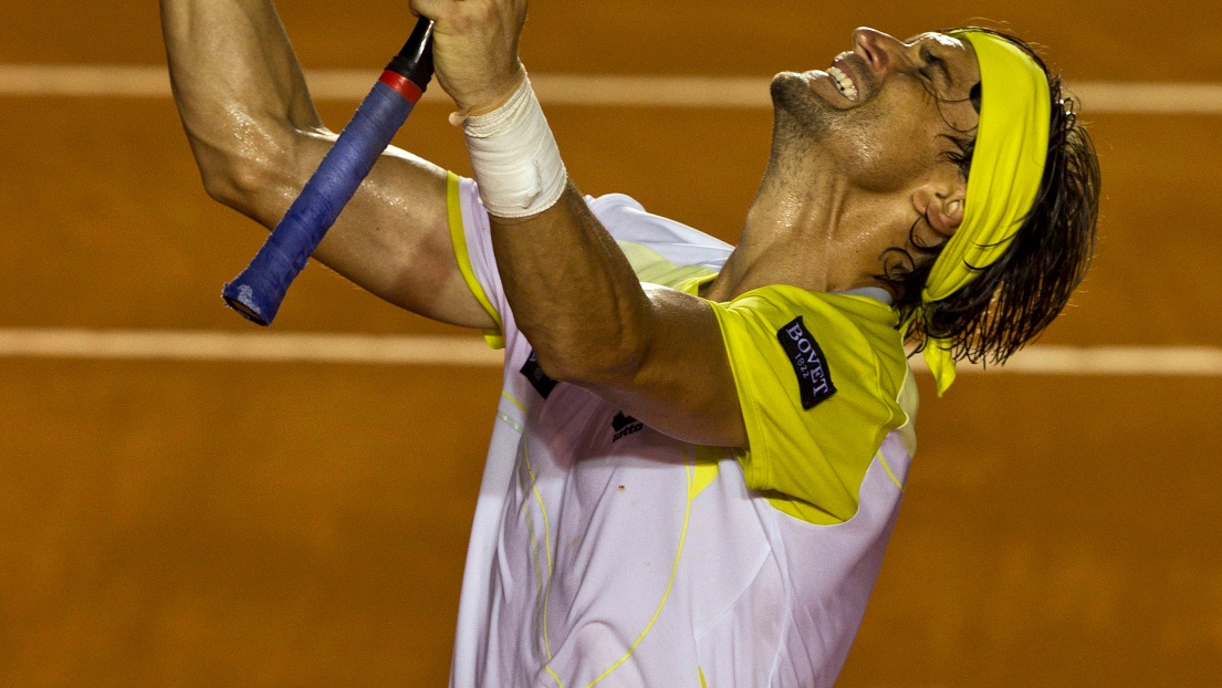 David Ferrer