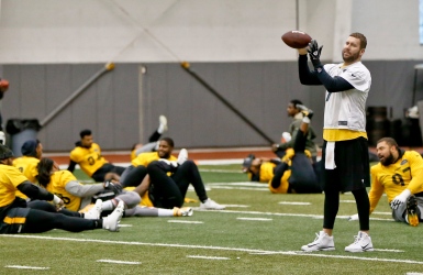 Les Steelers ne chercheront pas à se venger