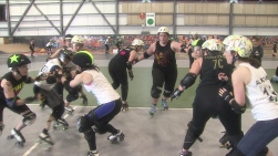 Roller.jpg