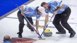Brier3.jpg