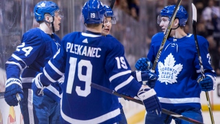 Maple Leafs Maple Leafs