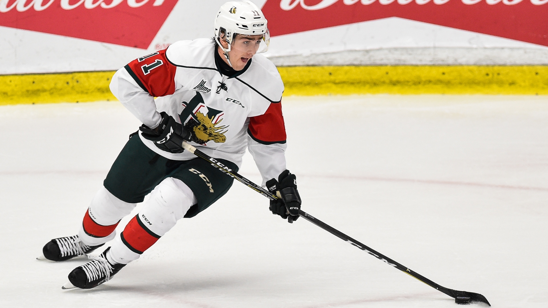 Filip Zadina