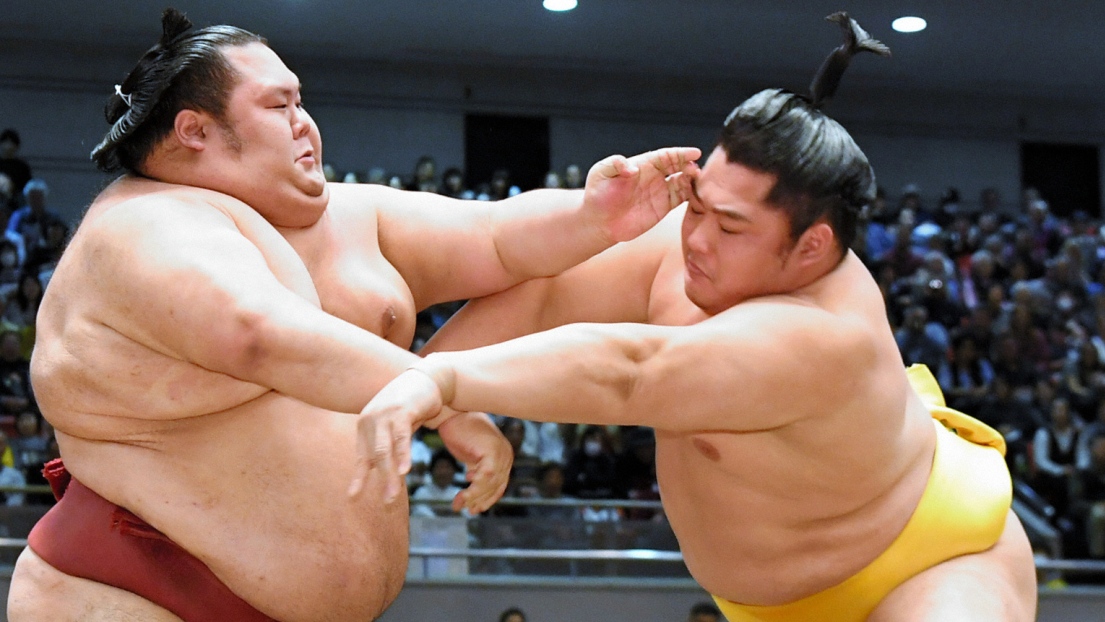 Deux lutteurs de sumo