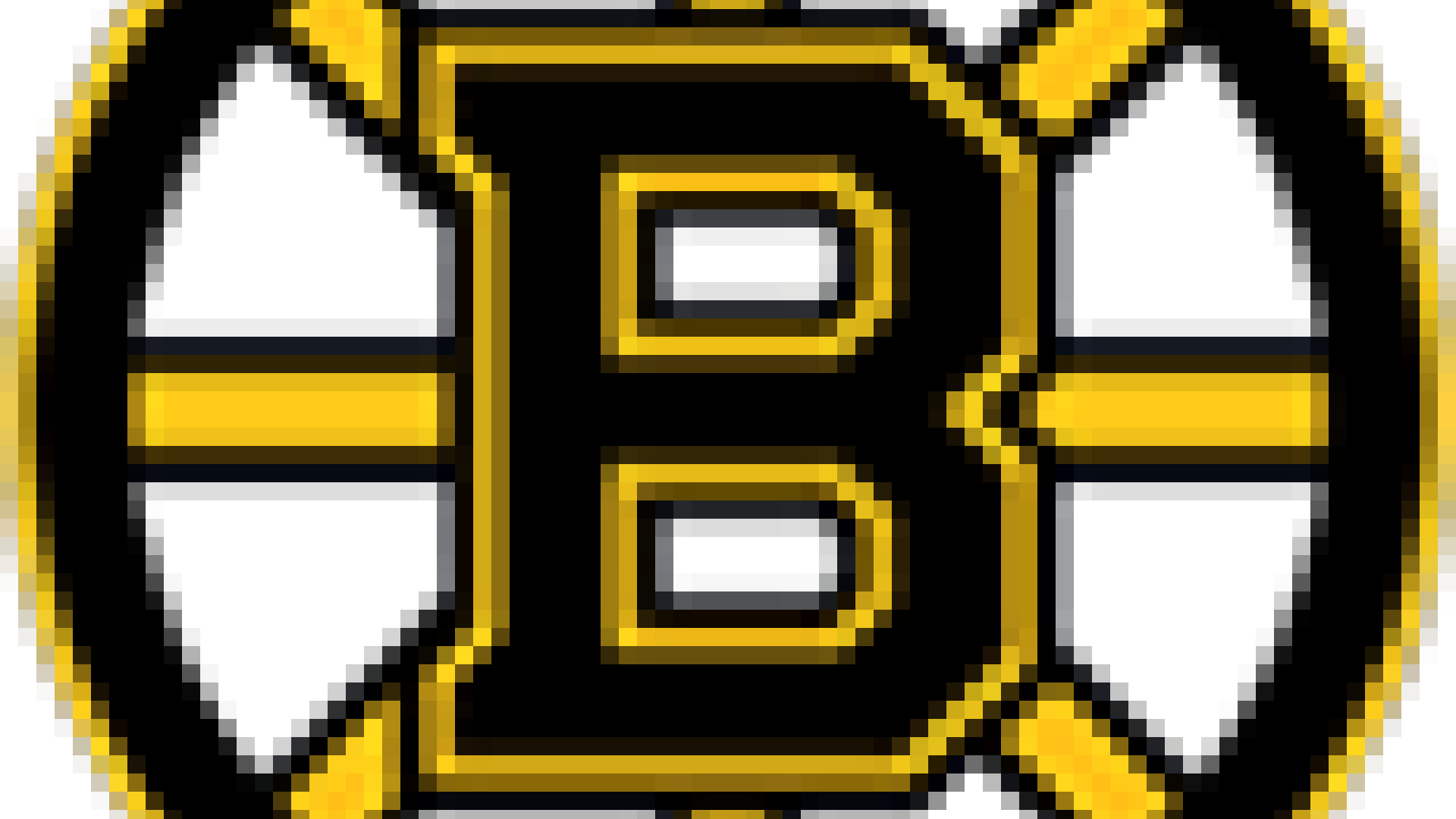 Bruins de Boston