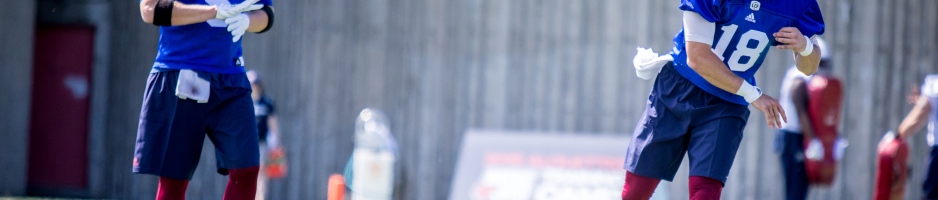 Séries LNH Header