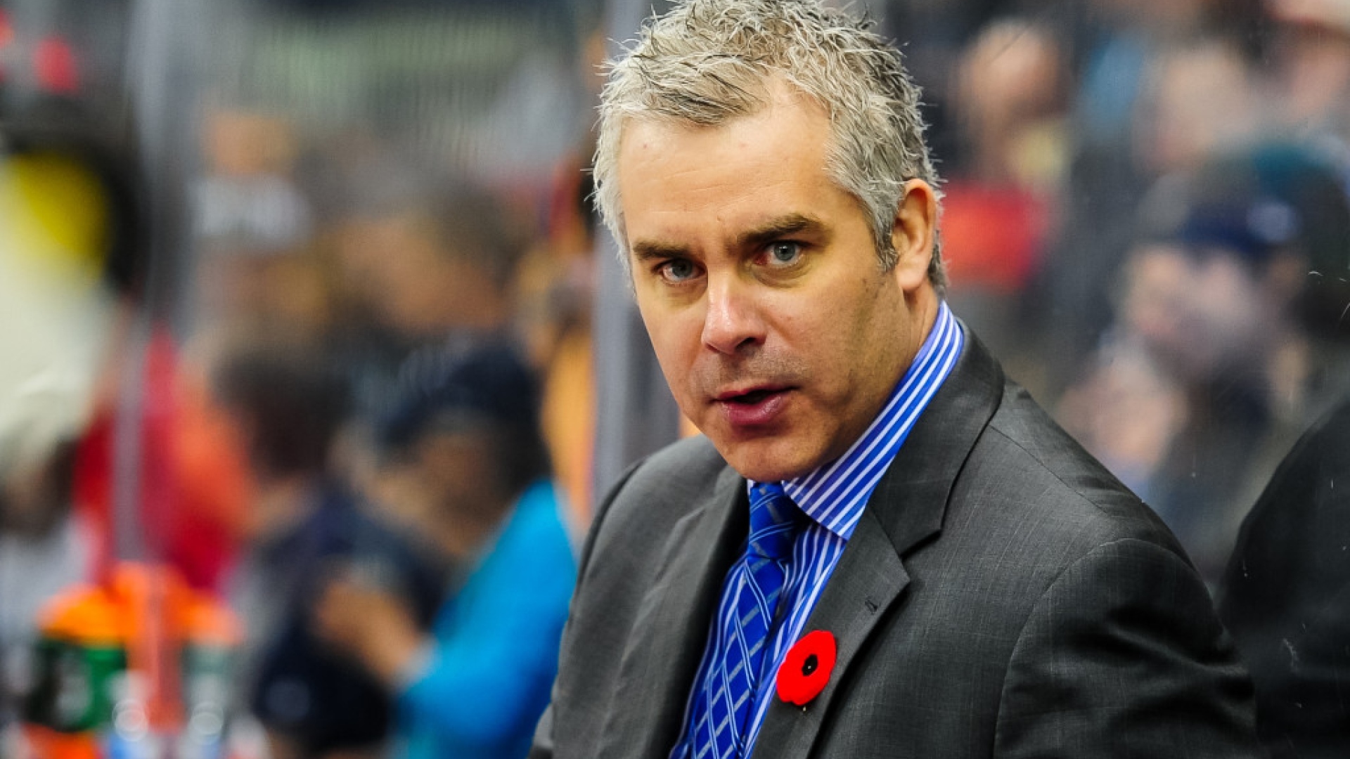 Dominique Ducharme est l'actuel entraineur-chef des Voltigeurs de Drummondville, mais il est possible qu'il se retrouve sous d'autres cieux l'an prochain