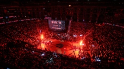 Raptors.jpg
