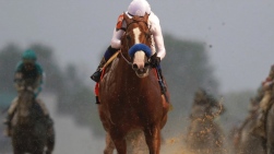 Justify.jpg