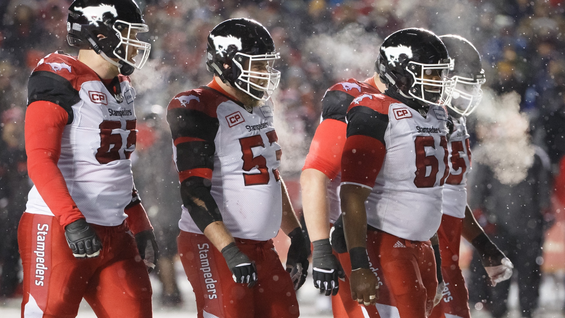 Stampeders 2017 Stampeders 2017