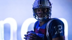 Alouettes).jpg