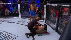 ufc1.jpg