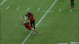 Lions.jpg