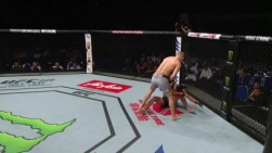 ufc2.jpg