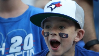 Un fan des Blue Jays Un fan des Blue Jays