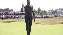 VoWoods.jpg