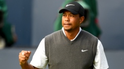 Tiger.jpg