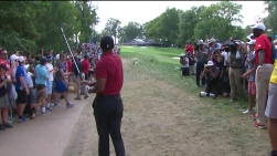 Woods9.jpg