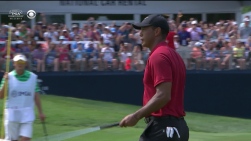 Woods10.jpg