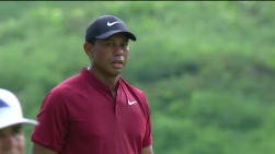 Woods11.jpg