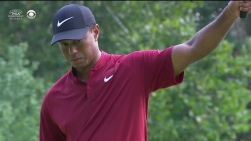 Woods12.jpg
