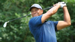 woods.jpg