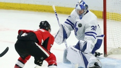 Leafs.jpg
