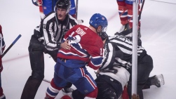 MAXDOMI.jpg