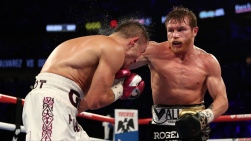 Canelo2.jpg