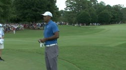 Woods16.jpg