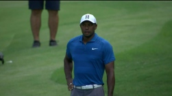 Woods20.jpg