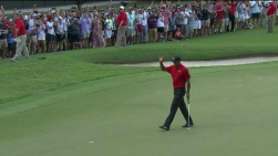 Woods22.jpg
